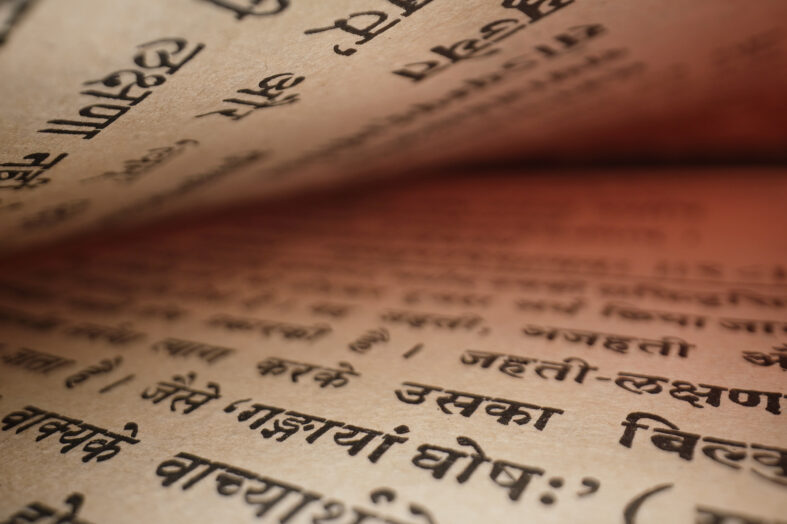 Brahma Vidya – Die Wissenschaft der Selbstverwirklichung Guide